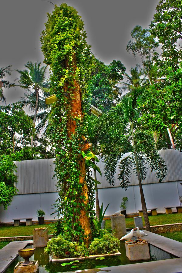 Travellers Lodge By City Hub Andiambalama Exterior foto